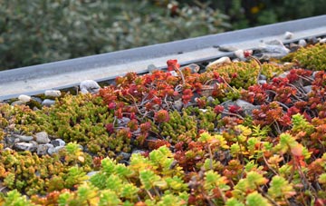 the cost of Highweek green roof installation